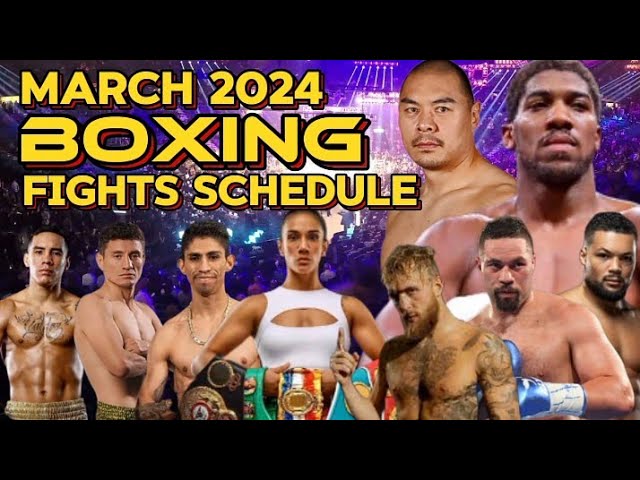 BOXING & MORE FIGHTS